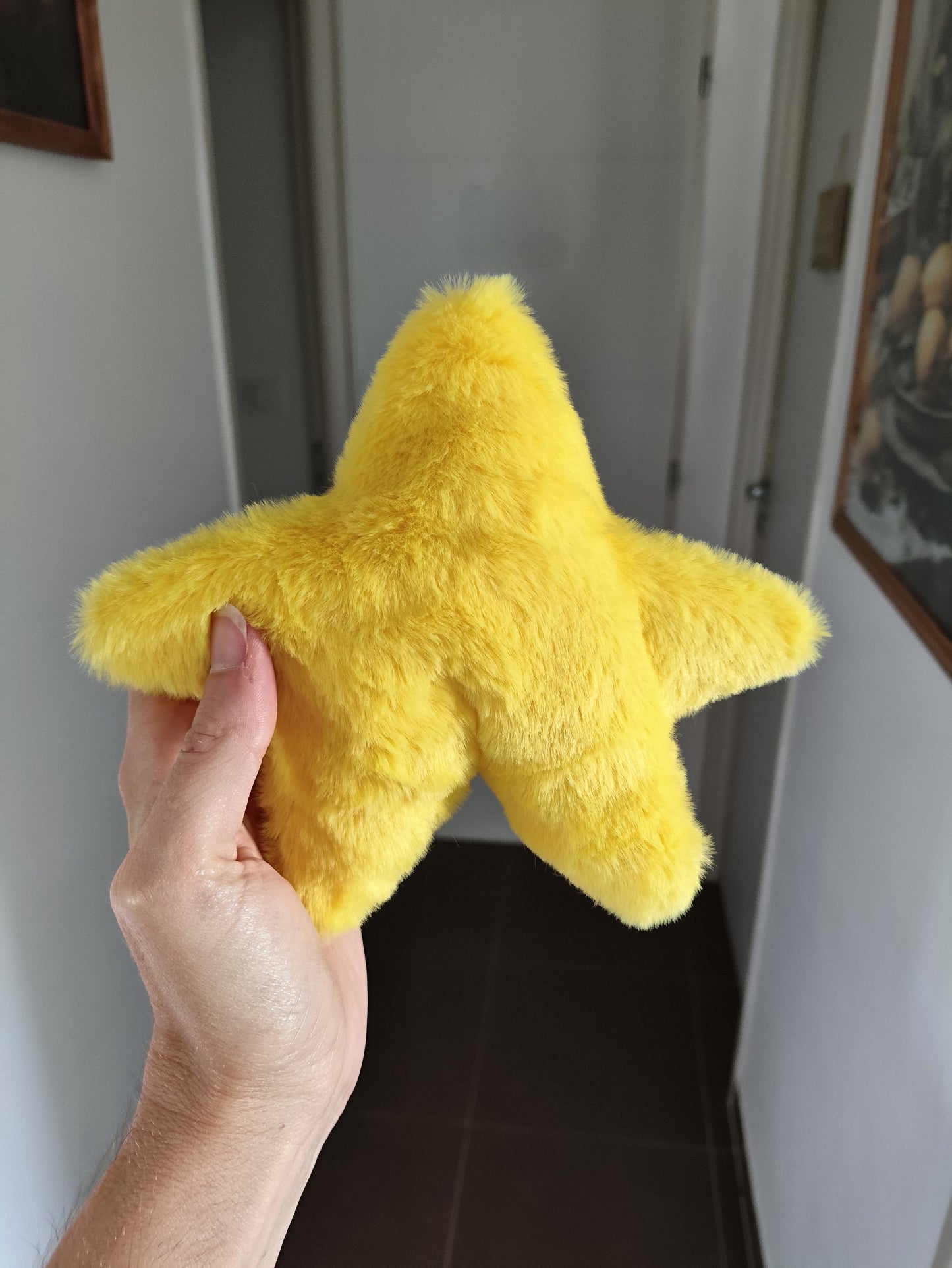 NIXIE the Star